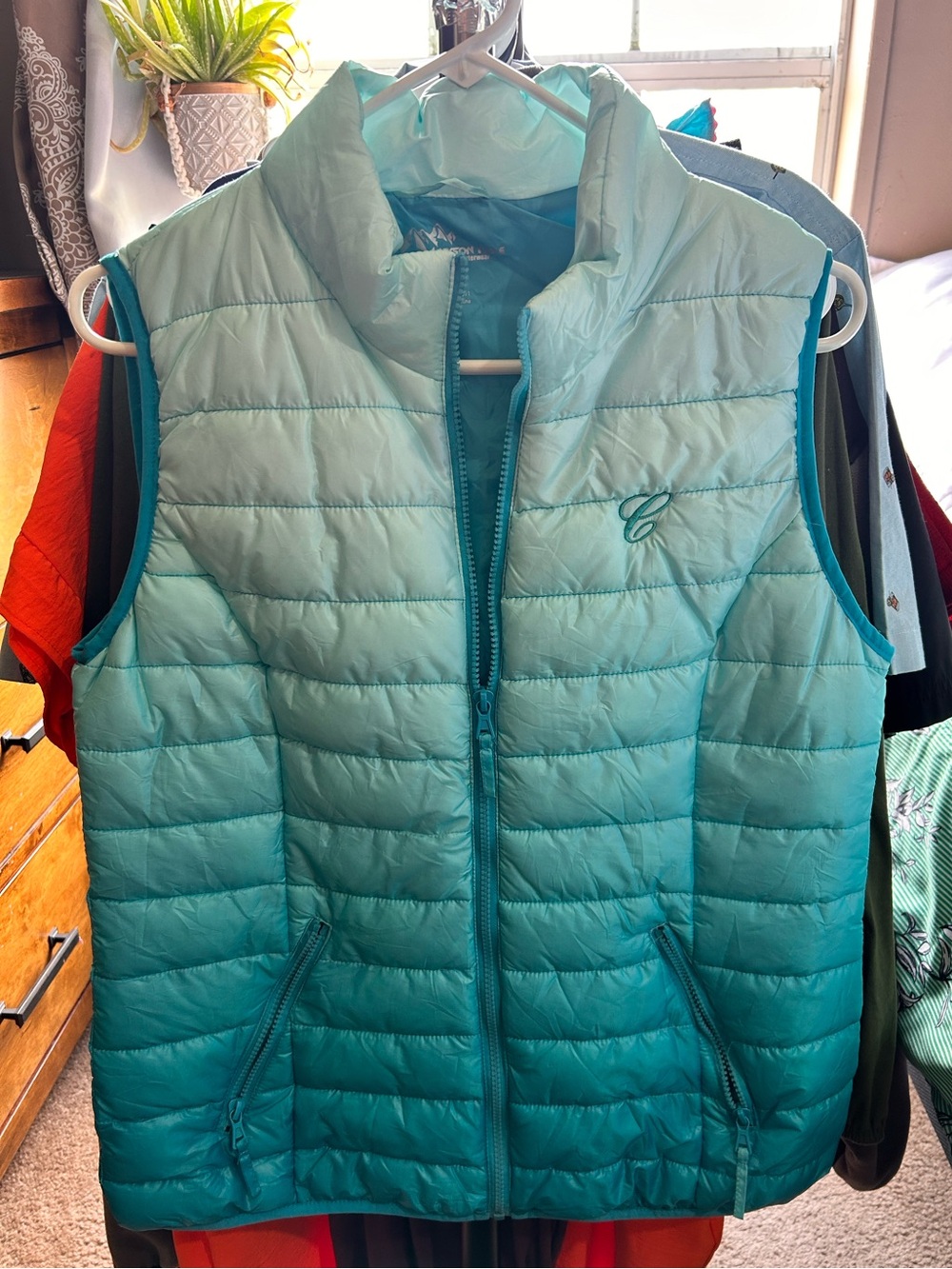 Jackson Hole Ombré Puffer Vest